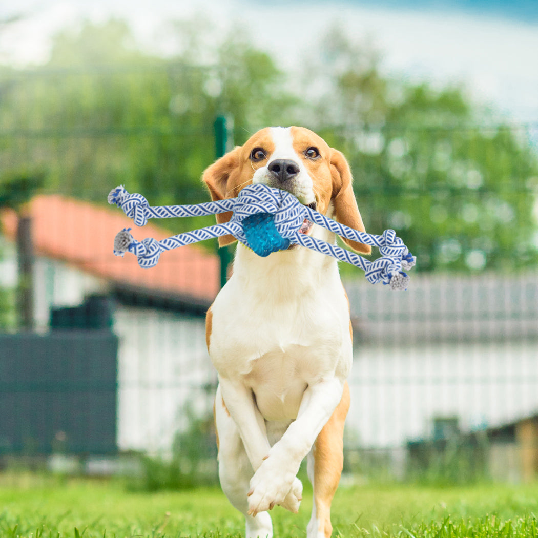 PaWz Dog Chew Toys Squeaky Puppy Pet-1864184547533524999