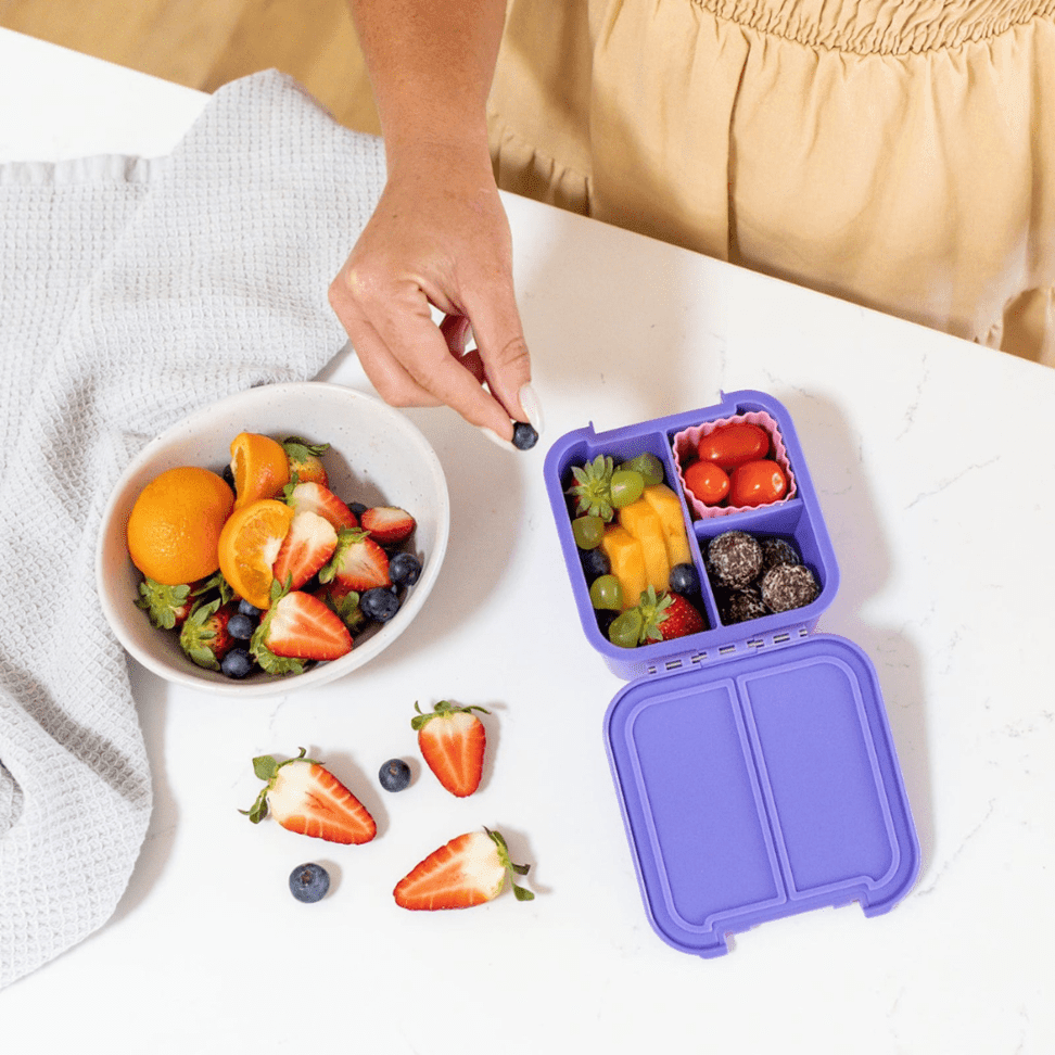 Little Lunch Box Co Bento Two Blueberry-1864183465608613890