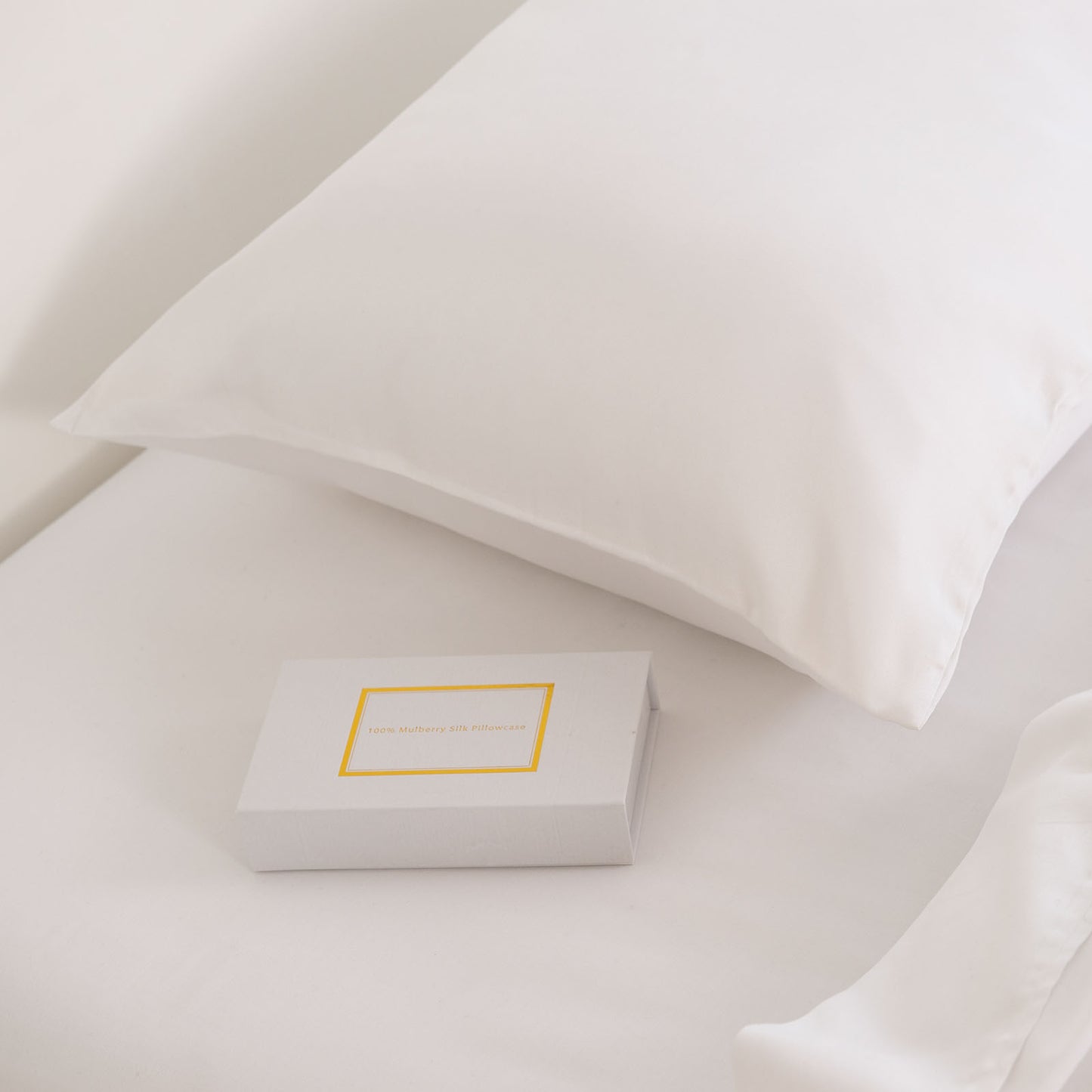 Pure Silk Pillow Case by Royal Comfort-White-1864186035580309507