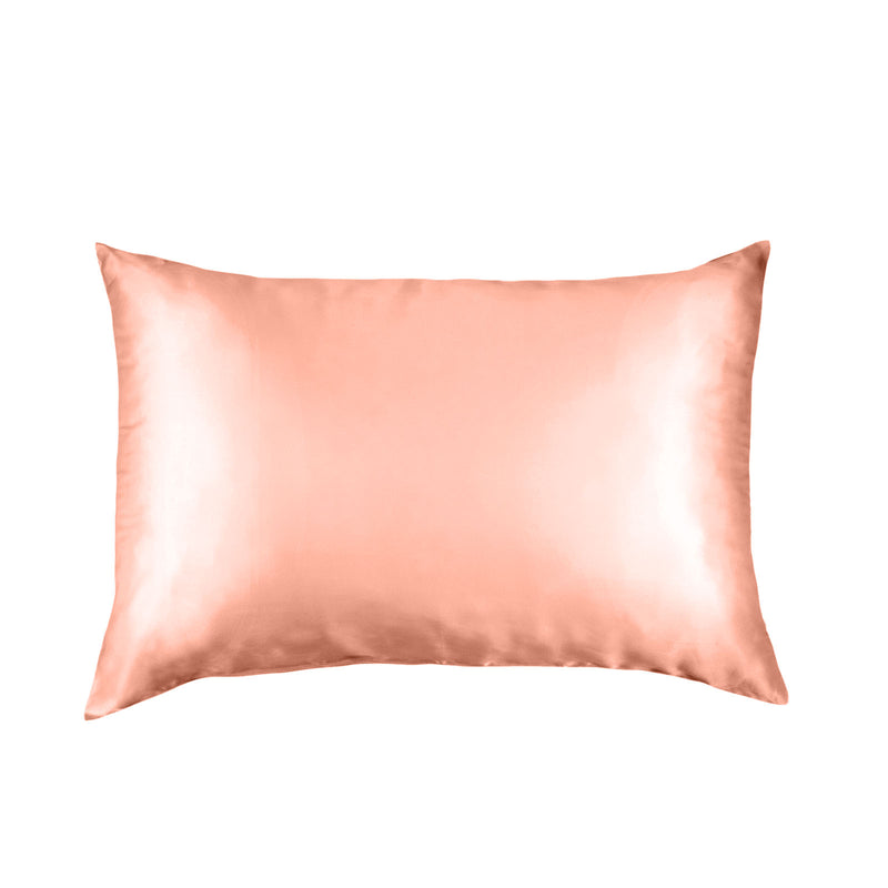 Pure Silk Pillow Case by Royal Comfort-Blush-1864186035991351296