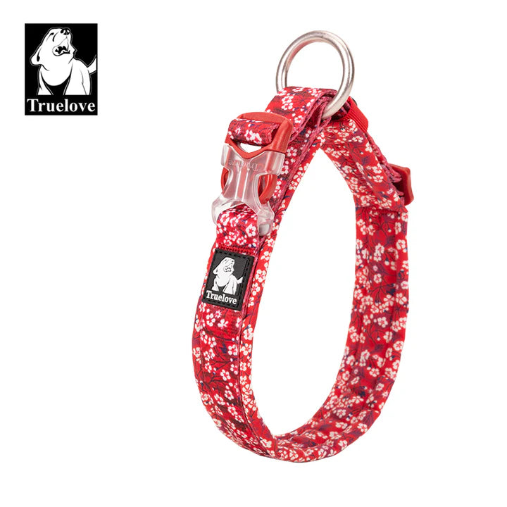 Floral Dog Collar - nextdeal.com.au 