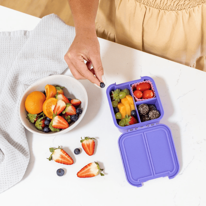 Little Lunch Box Co Bento Two Blueberry-1864183465608613890